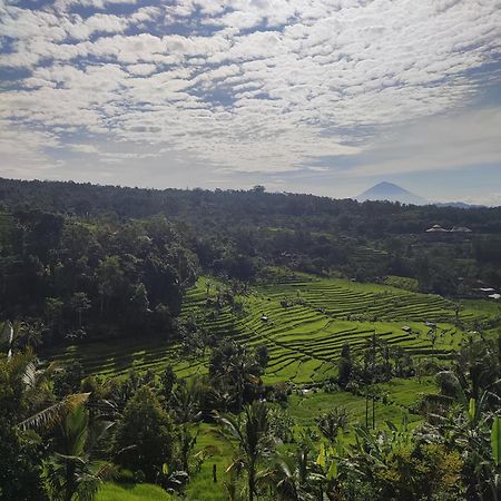 Gunza Bed And Breakfast Jatiluwih Exterior foto